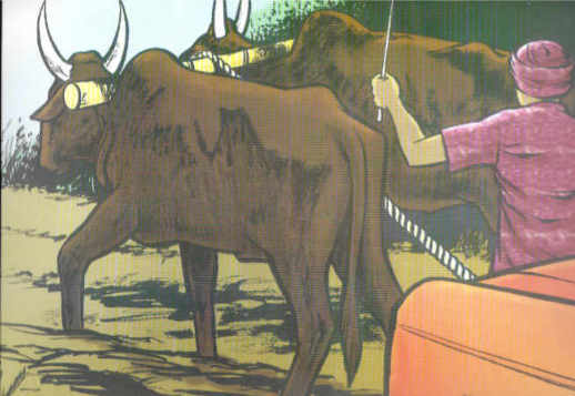 Ringu Teil 5 Vorschau