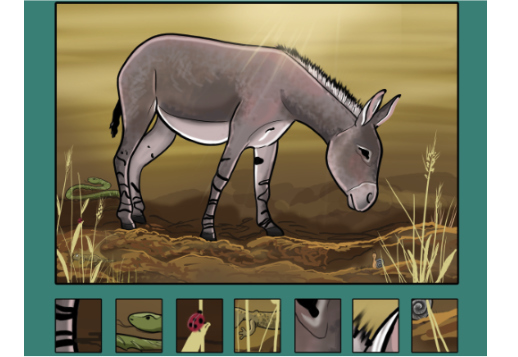 Wildesel - Suchbild Vorschau