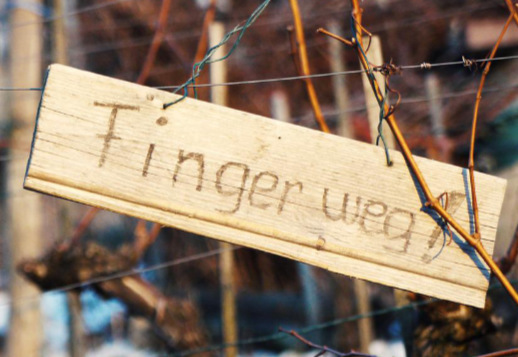 Der Feind Gottes - Teil 3 Vorschau