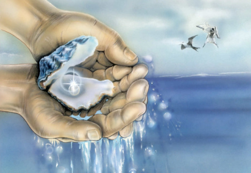 Die unbezahlbare Perle Vorschau