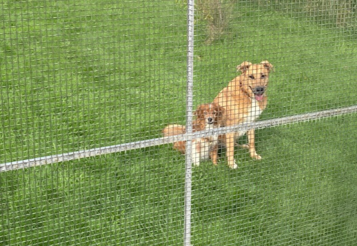 Marlies Geschichte - Teil 03 Vorschau