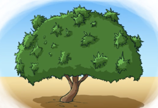 Zeichne einen Feigenbaum Vorschau