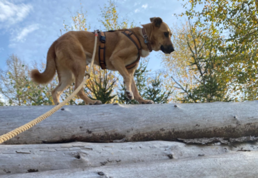 Marlies Geschichte - Teil 06 Vorschau