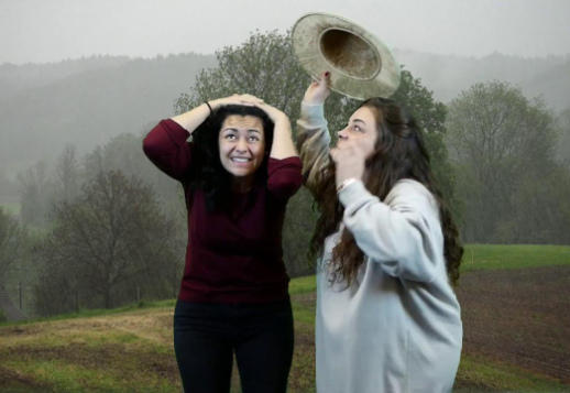 Welt- und Farbreise 05 - Grün Vorschau