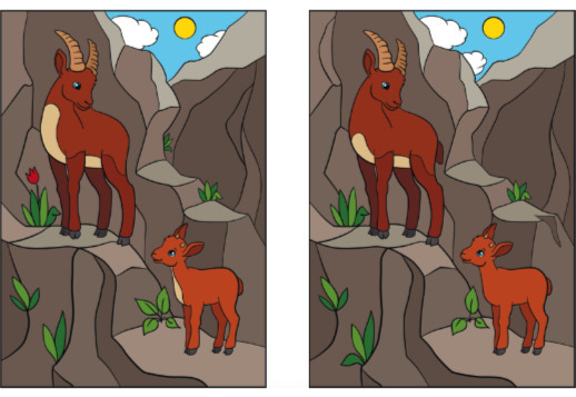 Finde 12 Unterschiede Vorschau