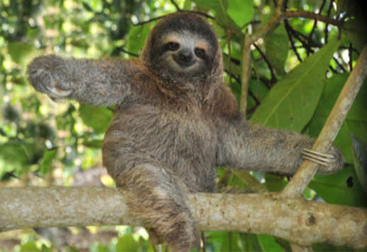 Lass dir Zeit! Vorschau