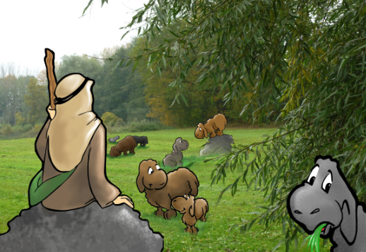 Bibelvers-Spiel - Psalm 23,1-2 Vorschau