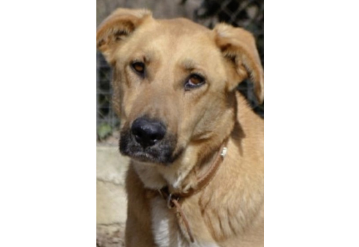 Marlies Geschichte - Teil 01 Vorschau