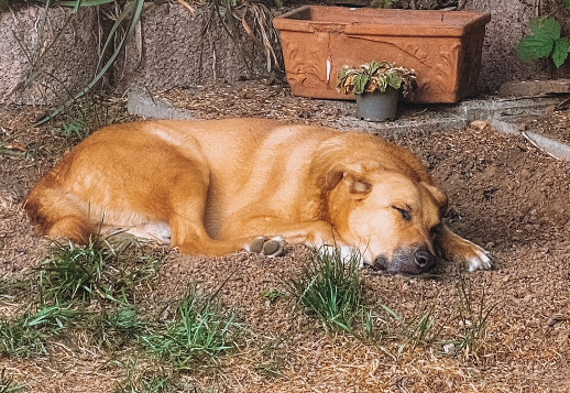 Marlies Geschichte - Teil 02 Vorschau