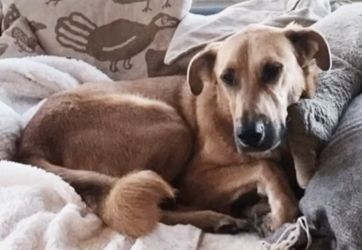 Marlies Geschichte - Teil 04 Vorschau