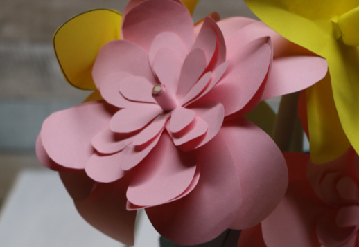 Bastle eine Pfingstrose Vorschau