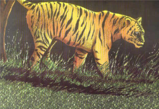 Ringu - Teil 4 Vorschau