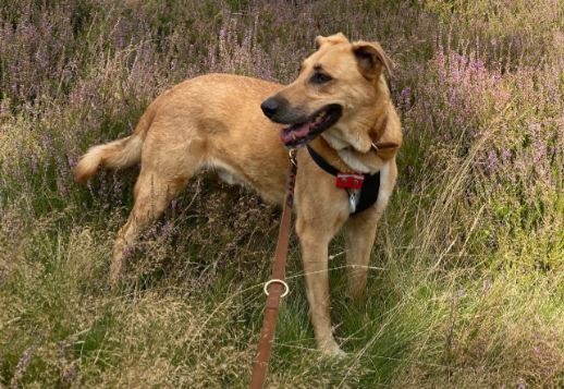 Marlies Geschichte - Teil 05 Vorschau