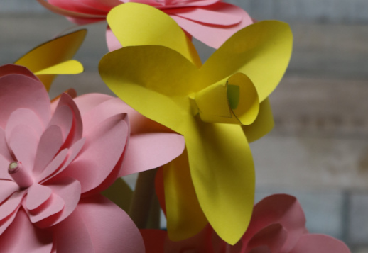 Bastle Narzissen und Tulpen Vorschau