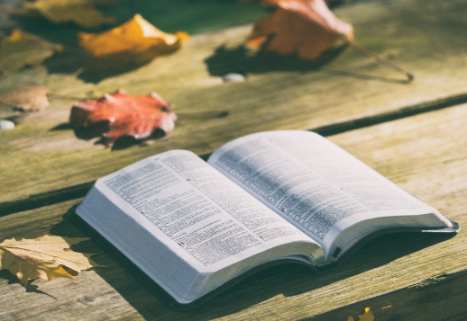 Faule Ausreden Vorschau