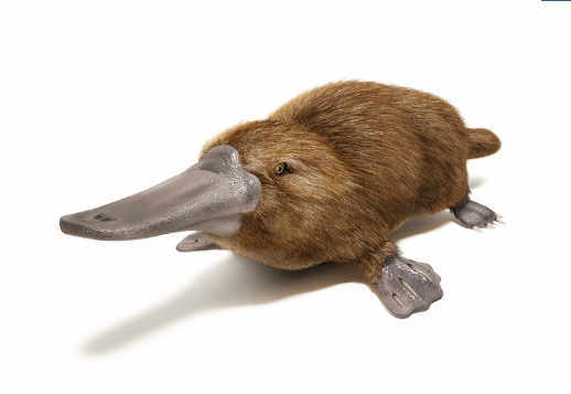 Einzigartig und ungewöhnlich Vorschau