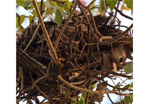 Wer wohnt denn hier? Vorschau