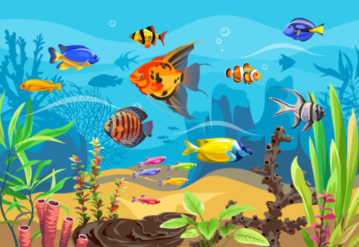 Unterwasserwelt Vorschau